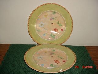 2 - Pc Royal Stafford " Flowers " 11 " Dinner Plates/england/white - Yel - Orn/free Ship