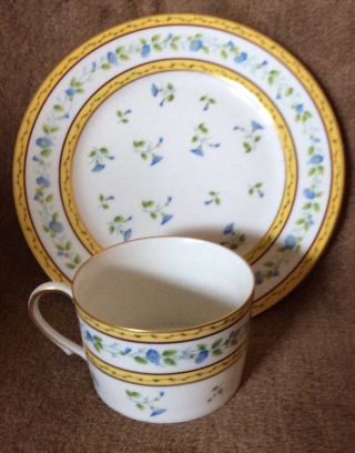 Ceralene Limoges Reynaud Morning Glory Spray Salad Plate And Cup
