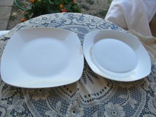 Ten Strawberry Street Simply White 6 Dinner Plates 10 ",  1 Plate 10 1/2 " Square
