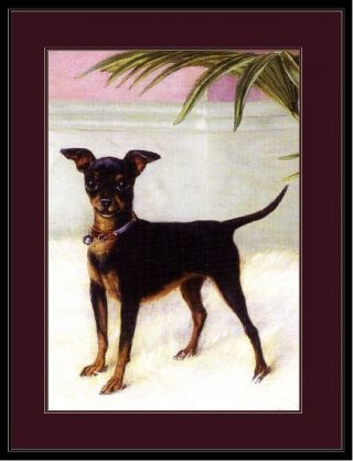 Picture Miniature Pinscher Rat Terrier Chihuahua Dog Art Vintage Poster Print