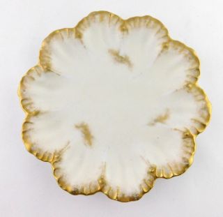 Al Limoges Depose France White Floral Shape Plate W Gold Edge Trim Great Value