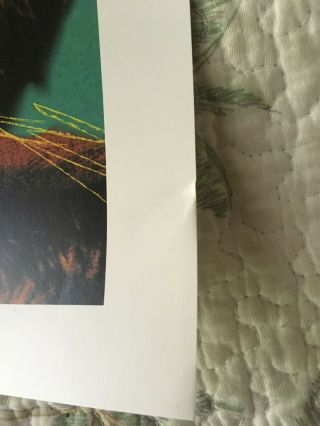 The Flaming Lips EMBRYONIC Rare Official Limited Lithograph Print 28 