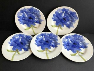 Five Royal Stafford Blue Poppy 8 1/2 " Salad Plates All