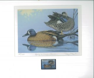 Maryland 16 1989 State Duck Stamp Print Blue Winged Teal By Roger Lent