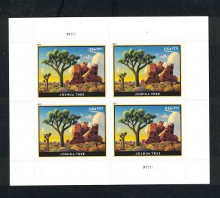 5347 Complete Pane Of 4 - $7.  35 Joshua Tree - Total Face Value - $29.  40 - Vf Nh