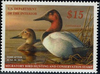 Rw 81 2014 $15 " Canvasbacks " Duck Stamp Issue - Og/nh - - Vf/xf