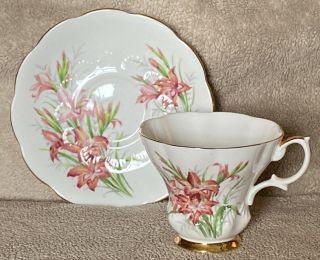 Vintage Royal Albert Tea Cup And Saucer Bone China England Friendship Gladiolus