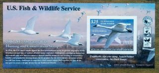 Rw83a $25 Us Federal Duck Stamp Self - Adhesive Og Nh 2016 Trumpeter Swans