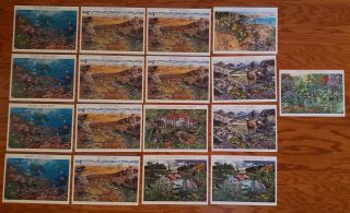 Us Stamps - Plant & Animal Communities In North America Bundle Of 17 Sheets