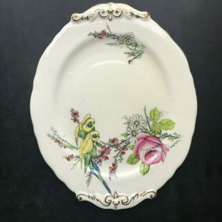 Princess Margaret Rose Commemorative Birth Oval Cake Plate Parakeet 1930 10 "