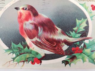 C 1913 Merry Christmas Robin Red Breast Bird Holly Embossed Antique Postcard