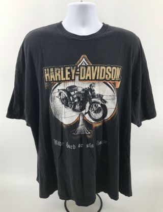 Harley Davidson Motorcycles Vintage T Shirt Mens Size 3xl Xxxl Orlando Fl Black
