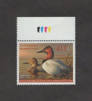 Rw81 Federal Duck Stamp.  Top Color Bar Single.  Mnh.  Og 02 Rw81tcb