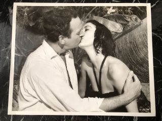 Actress Ava Gardner Vintage Photo 8x10 Inch
