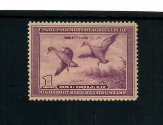 Us Scott Rw5 / Vf / Nh With Gum Skips Federal Duck Stamp; Scv $200.  00