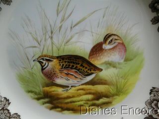 Spode Woodland Quail Game Bird,  England: Dinner Plate (s),  10 3/4 