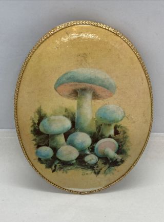 Vintage Floral Botanical Mushrooms Lithograph W.  M.  Otto Oval Frame 5.  5”x4.  125”