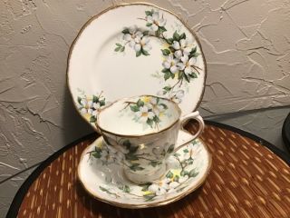 Trio Royal Albert White Dogwood With Gold Bone China Cup Saucer & Salad Plate