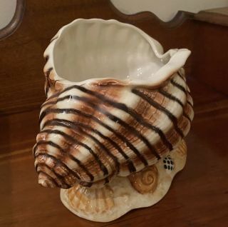 Large Conch Shell Ceramic Pottery Planter Vintage Beach House Nautical 10 " X6 "