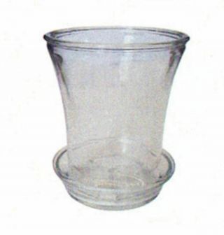 7 Inch Clear Glass Planter W Flared Top