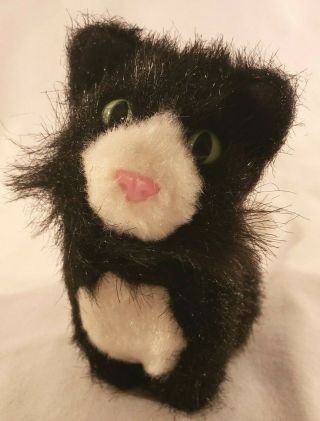 American Girl Doll Retired Cat Licorice Tuxedo Plush 6 " Black & White
