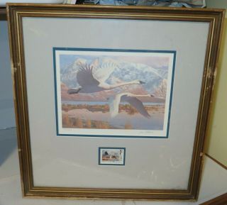 1986 Migratory Utah First Of State Waterfowl Print Stamp Framed State Duck Ducks