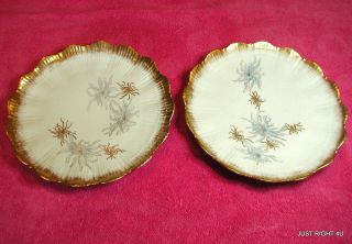 {set Of 2} M Redon France (hand Painted Gold Flutted) 9 " Plates
