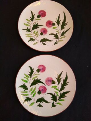 2 Stangl Pottery Pink Thistle Dinner Plates - 10 Inch - Mid Century Modern