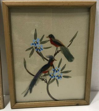 Vintage Oil Painting Real Bird Feathers Framed Artwork Retro Folk Art