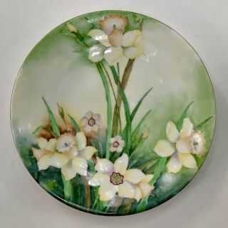Vintage Hermann Ohme Silesia Hand - Painted Porcelain Plate,  Daffodils,  7.  5”,  1920