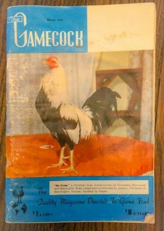 Vintage Gamefowl Collectable Gallos Gamecock