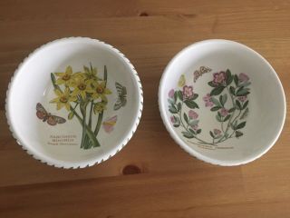 2 Vtg Portmeirion Botanic Garden Cereal/soup Bowls Rhododendron & Narcissus 5.  5”