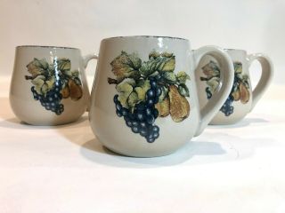 Home And Garden Party Stoneware Italian Fruit Mugs Set Of Four