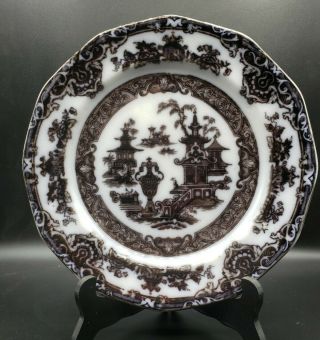 " Temple " Podmore Walker & Co Flow Black Mulberry Ironstone 9 3/4 " Plate 1800s