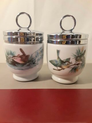 Two Vintage Royal Worcester Porcelain Woodland Birds Wren Egg Coddlers - England