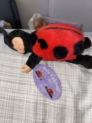 8” Baby Ladybug By Anne Geddes Plush 1998 Bean Bag