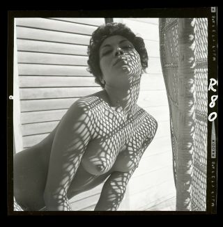 Martza Antoinette 1950s Nude Model Bunny Yeager Archive 2 1/4 Camera Negative