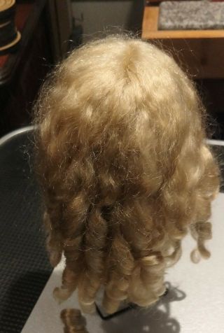 Good Dk Blonde Global Mohair Doll Wig,  Org.  Box For Vintage Or Antique 13 - 14