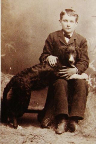 Antique Cdv Photo Portrait Of Handsome Dapper Boy & His Dog Owosso Michigan
