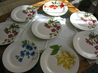 Home Studio Garden Bouquet 11 " Dinner Plates Set Of 8