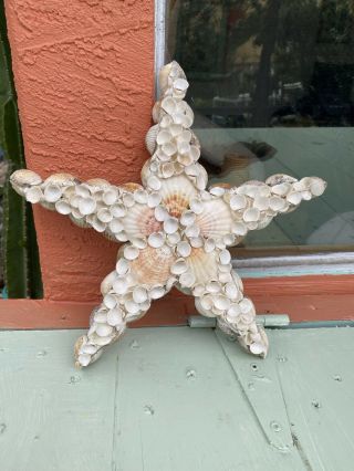 Vintage Star Starfish Wall Hanging Handmade From Sea Shells Beachy