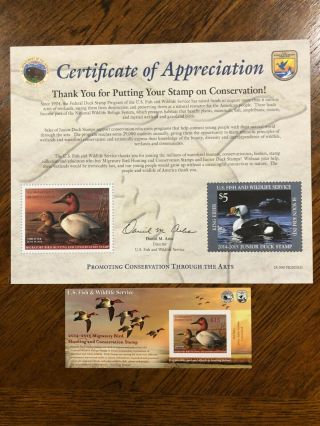 Rw 81a 2014 $15 Canvasback Duck Stamp,  Never Hinged,  With Certificate