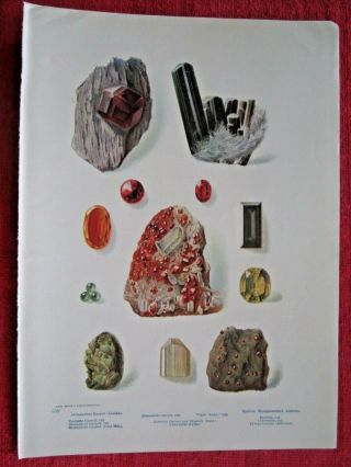 C1900 Antique Garnets & Other Stones Rocks Minerals Lithograph Print