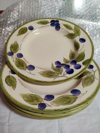 Home Trends 4 Pc Salad Plates Grapes Vines Cluster 9 "