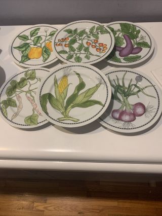 Set Of X 6 Williams Sonoma Round Bread Plates Vegetable Garden Made In Japan