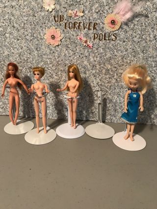Topper Dawn,  Pippa,  Starr,  Rock Flower Doll - Stands ❤️❤️❤️❤️❤️❤️❤️ No Dolls