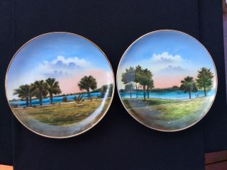 Vintage Plates Of Florida Hand Painted By The Jonroth Studios,  Germany