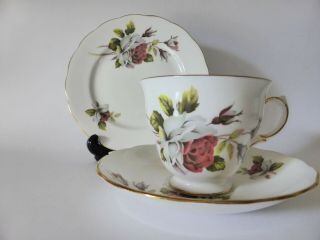 Queen Anne Vintage Bone China Teacup Trio,  Floral Tea Cup,  Saucer,  Plate