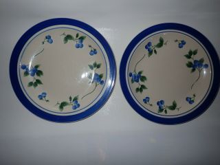 Set Of 2 Ll Bean Blueberry 11 " Dinner Plates Retired Stoneware