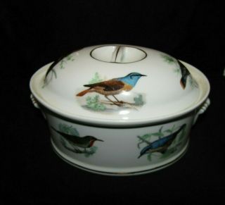 French Lourioux Le Faune Oval Covered Oven Dish Birds Flameproof